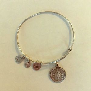 Alex and Ani Seven Swords bracelet